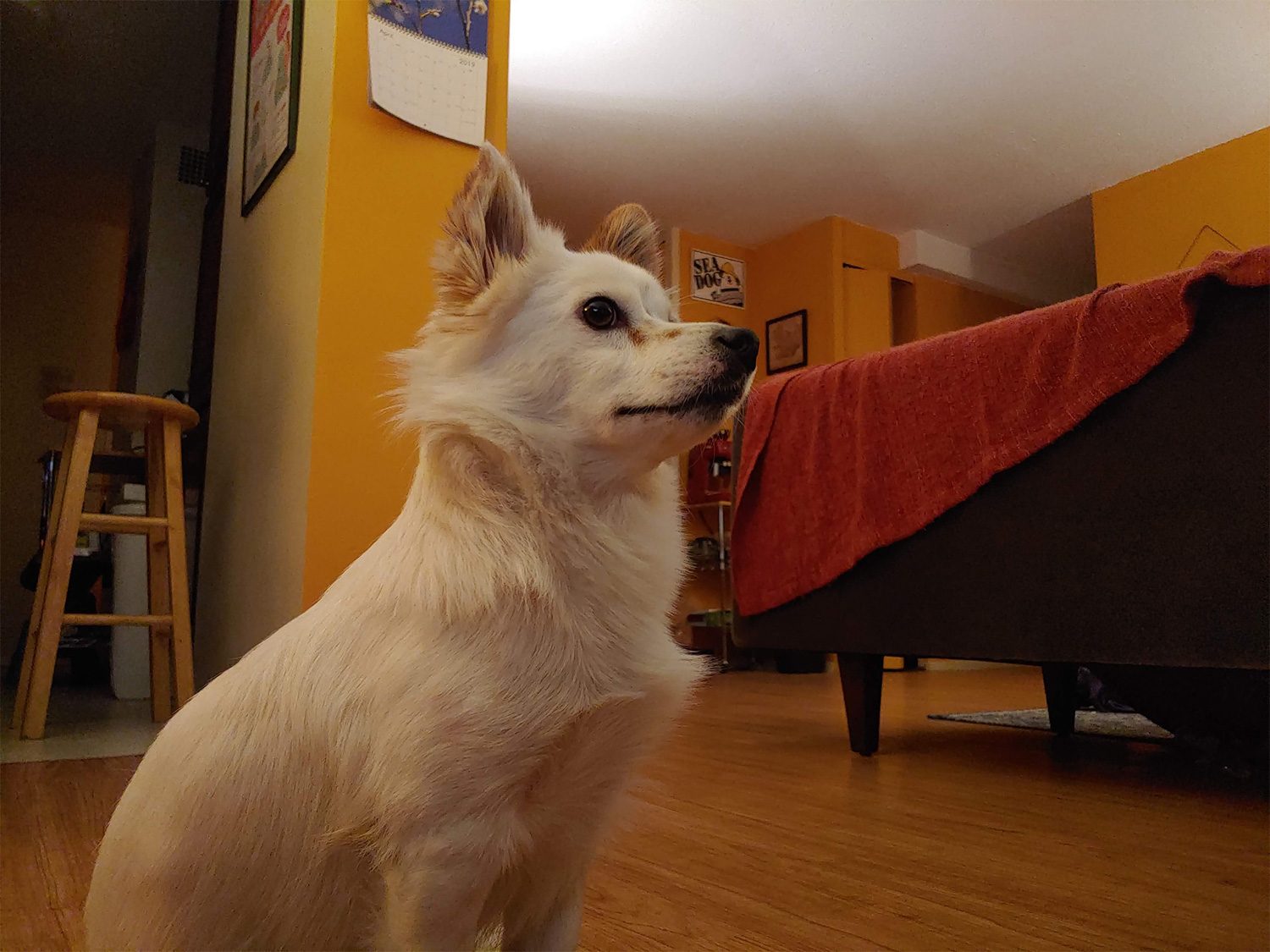 lg g8 thinq review camera 7