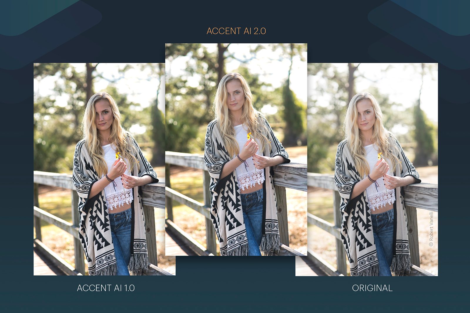 skylum luminar 3 accent ai updated luminaraccentai32019