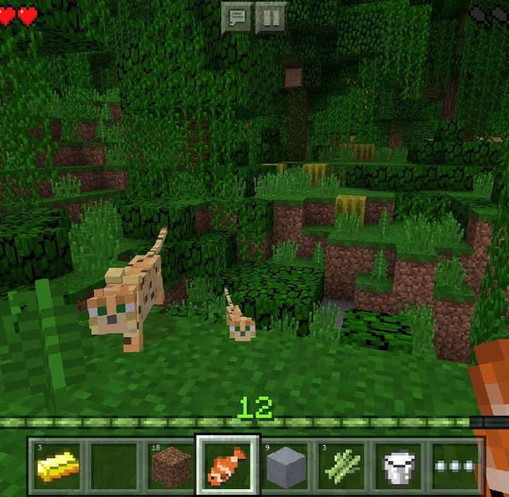 Forest in Minecraft mobile edition.
