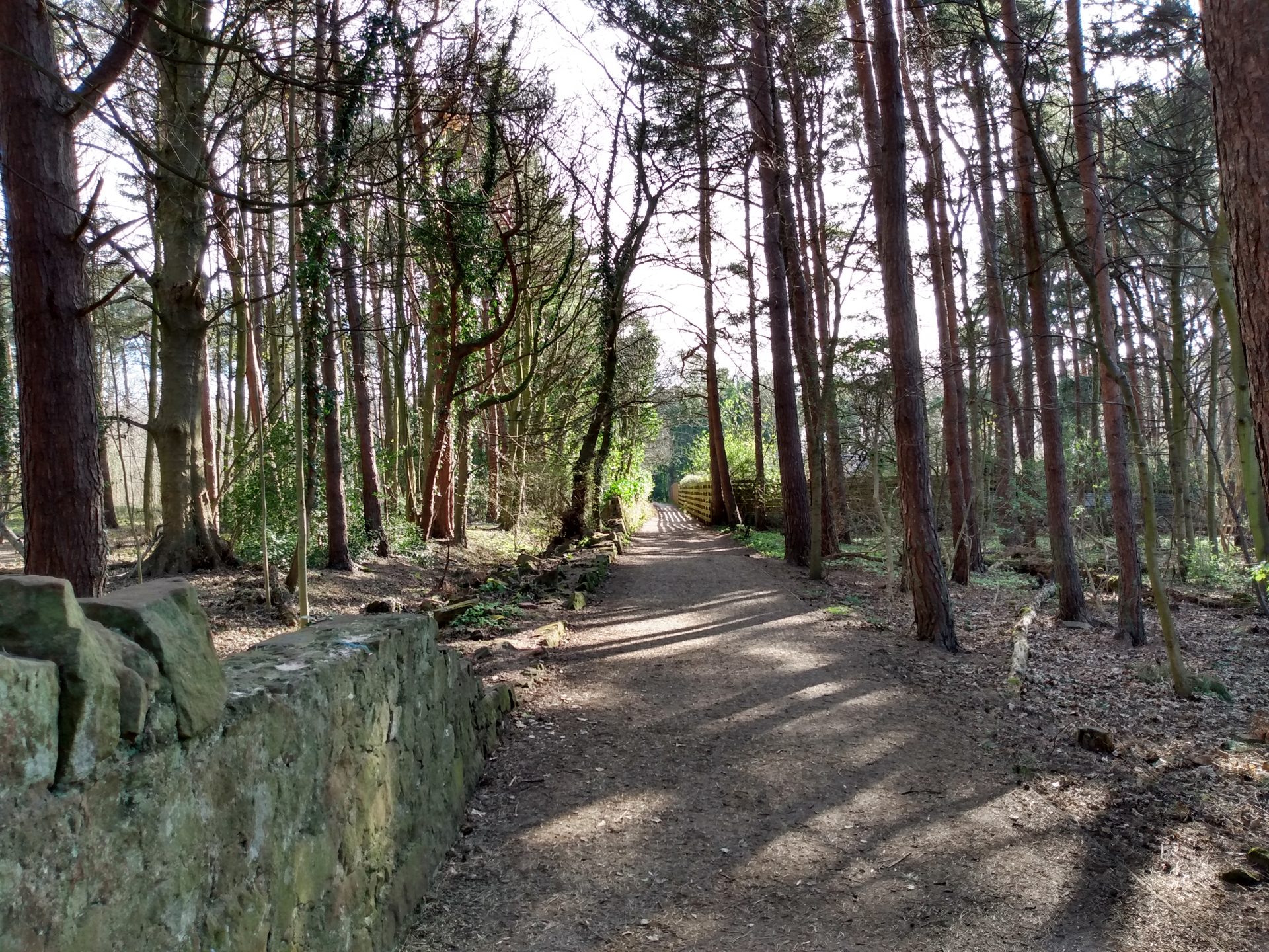 Moto G7 Play Review Screenshots