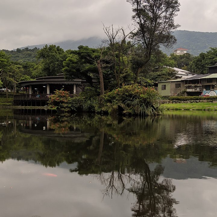 huawei p30 pro vs google pixel 3 camera shootout park 1 pixela