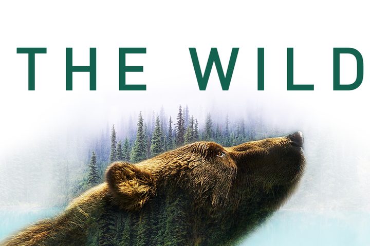 The Wild Podcast
