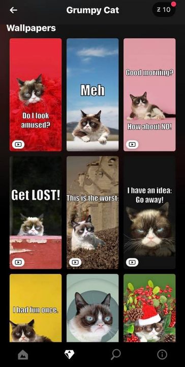 Grumpy Cat wallpaper