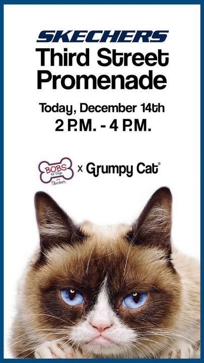 Grumpy Cat meetup