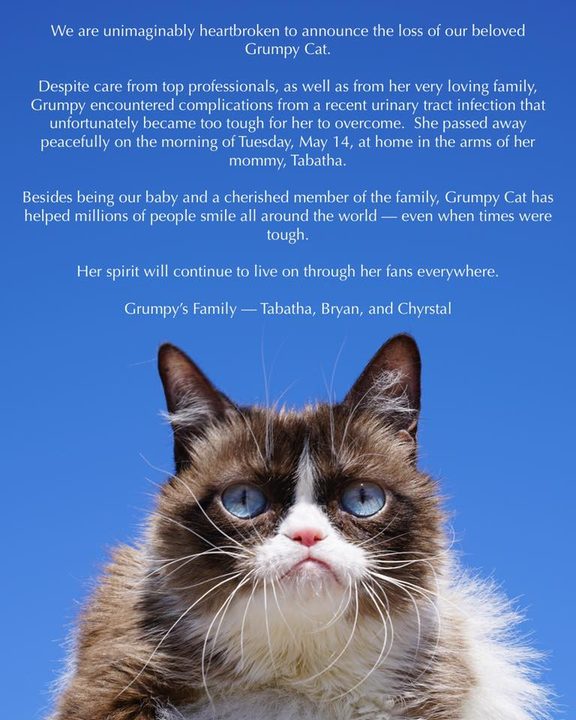 Grumpy Cat obit