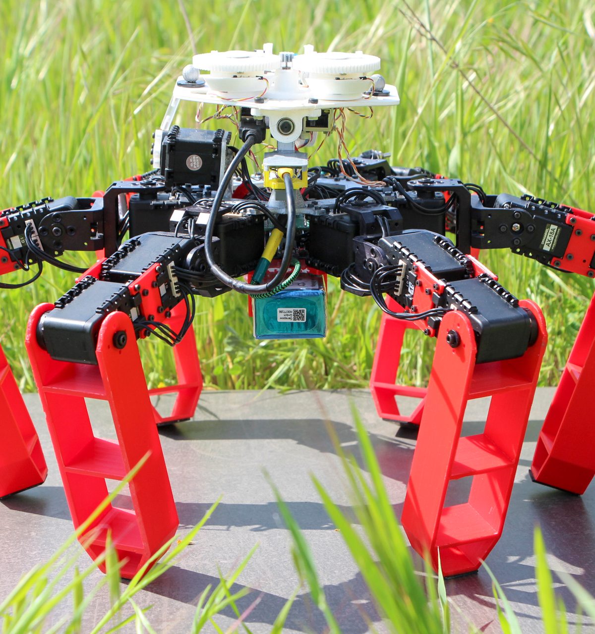 AntBot