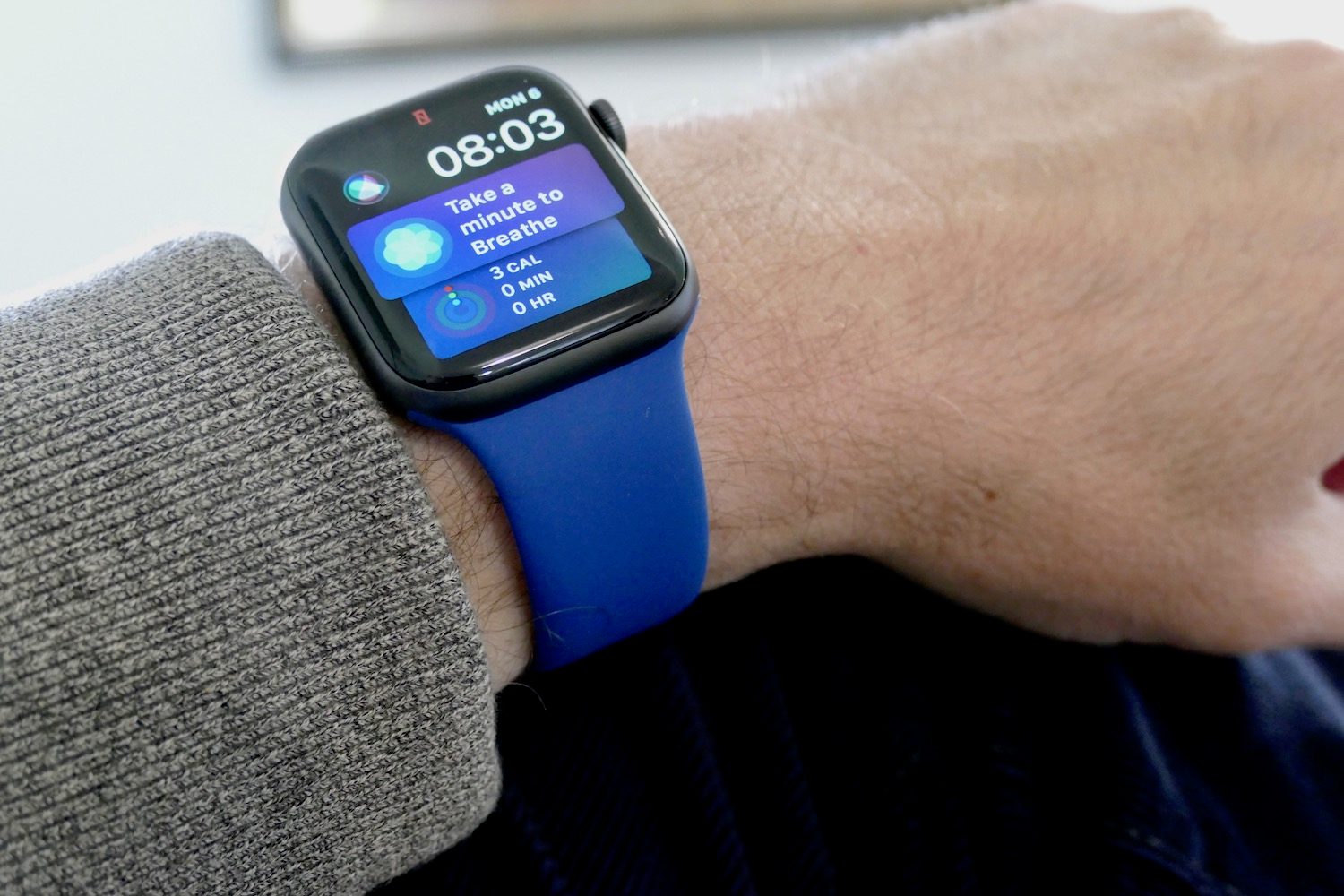 Apple Watch Sport Band.