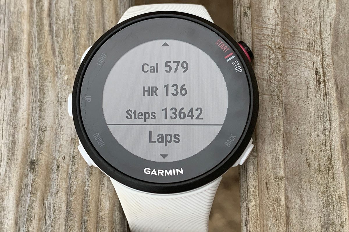 Garmin Forerunner 45S