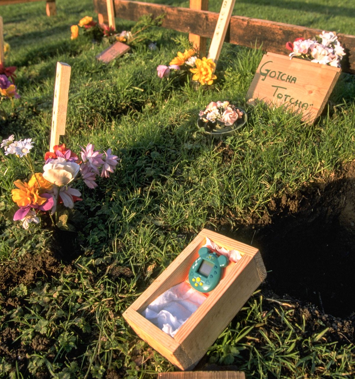 The Tamagotchi Cemetery