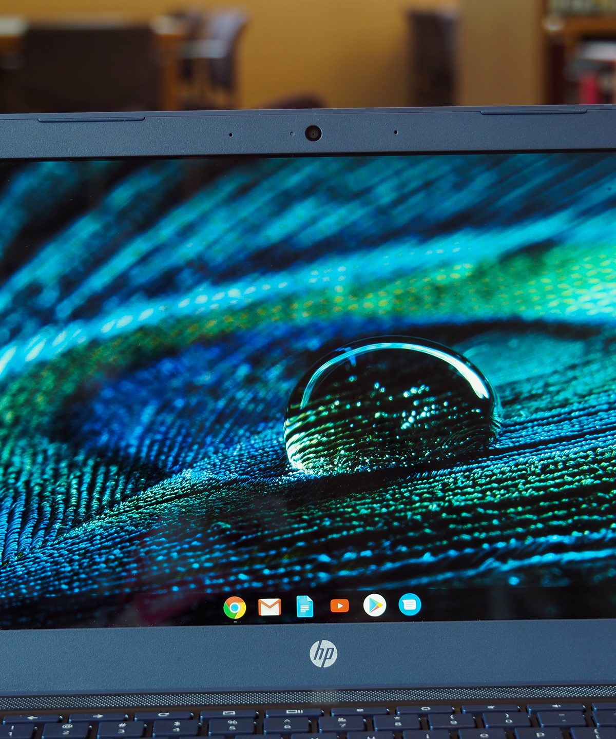 HP Chromebook 14 Review