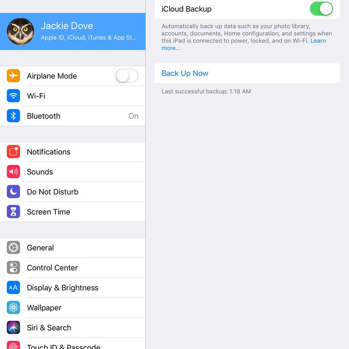 how to back up an ipad ipadbackup22