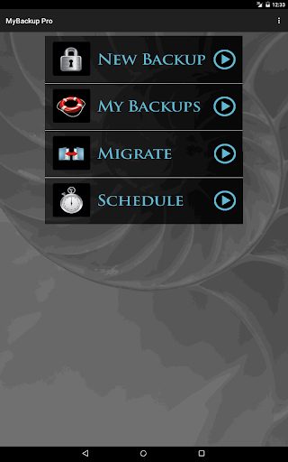 My Backup Pro