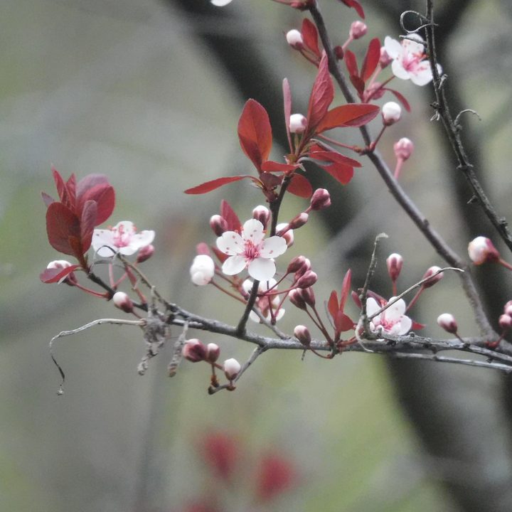 nikon coolpix b600 review sample 1