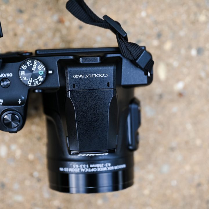 nikon coolpix b600