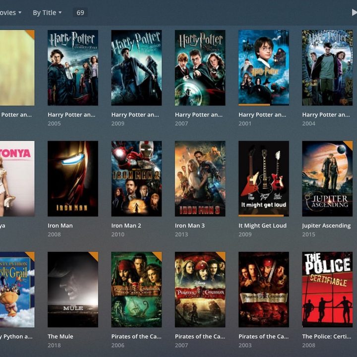 A screen of downloaded movies on the Plex system.