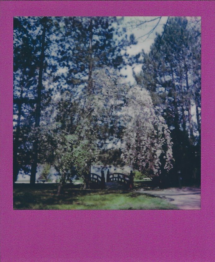 polaroid originals onestep 2 review bridge