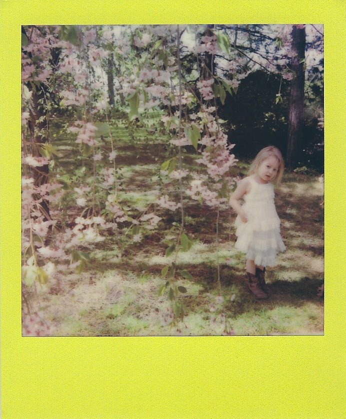 polaroid originals onestep 2 review portrait