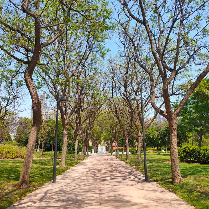 Realme X Camera Sample Shots Vertical