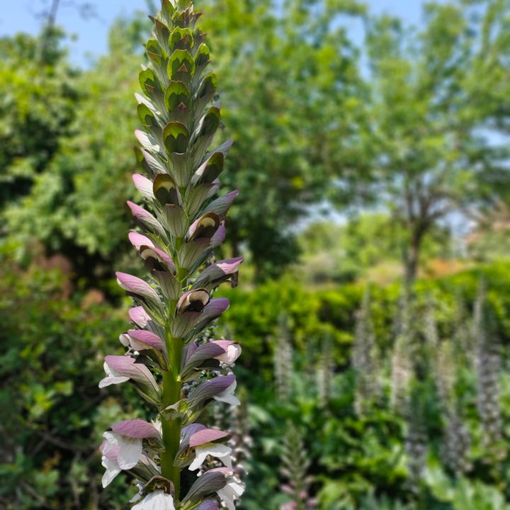 Realme X Camera Sample Shots Vertical