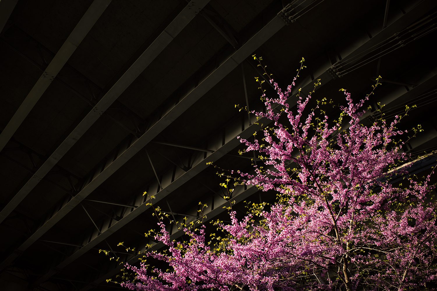 ricoh gr iii review sample 15