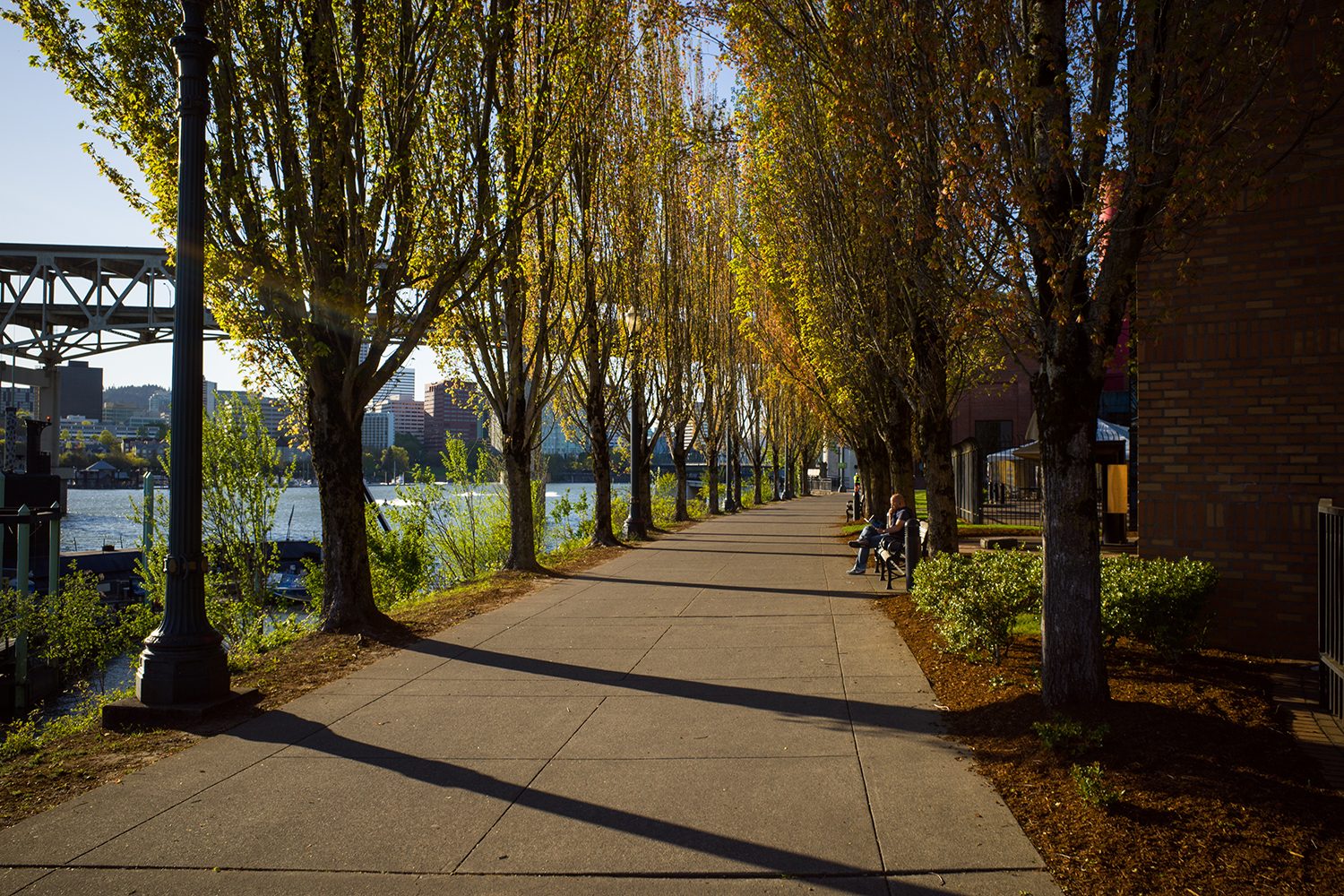 ricoh gr iii review sample 9
