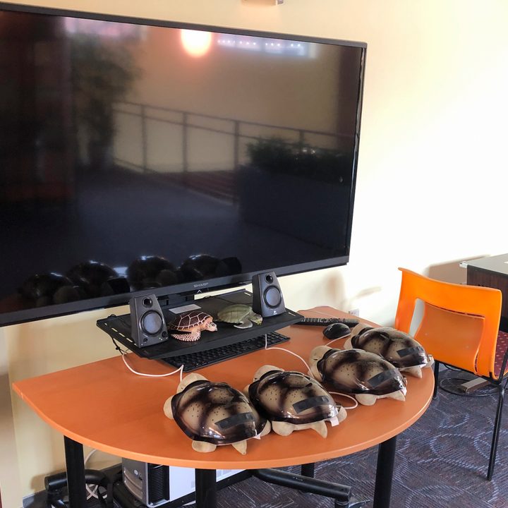 Schell Games studio test area