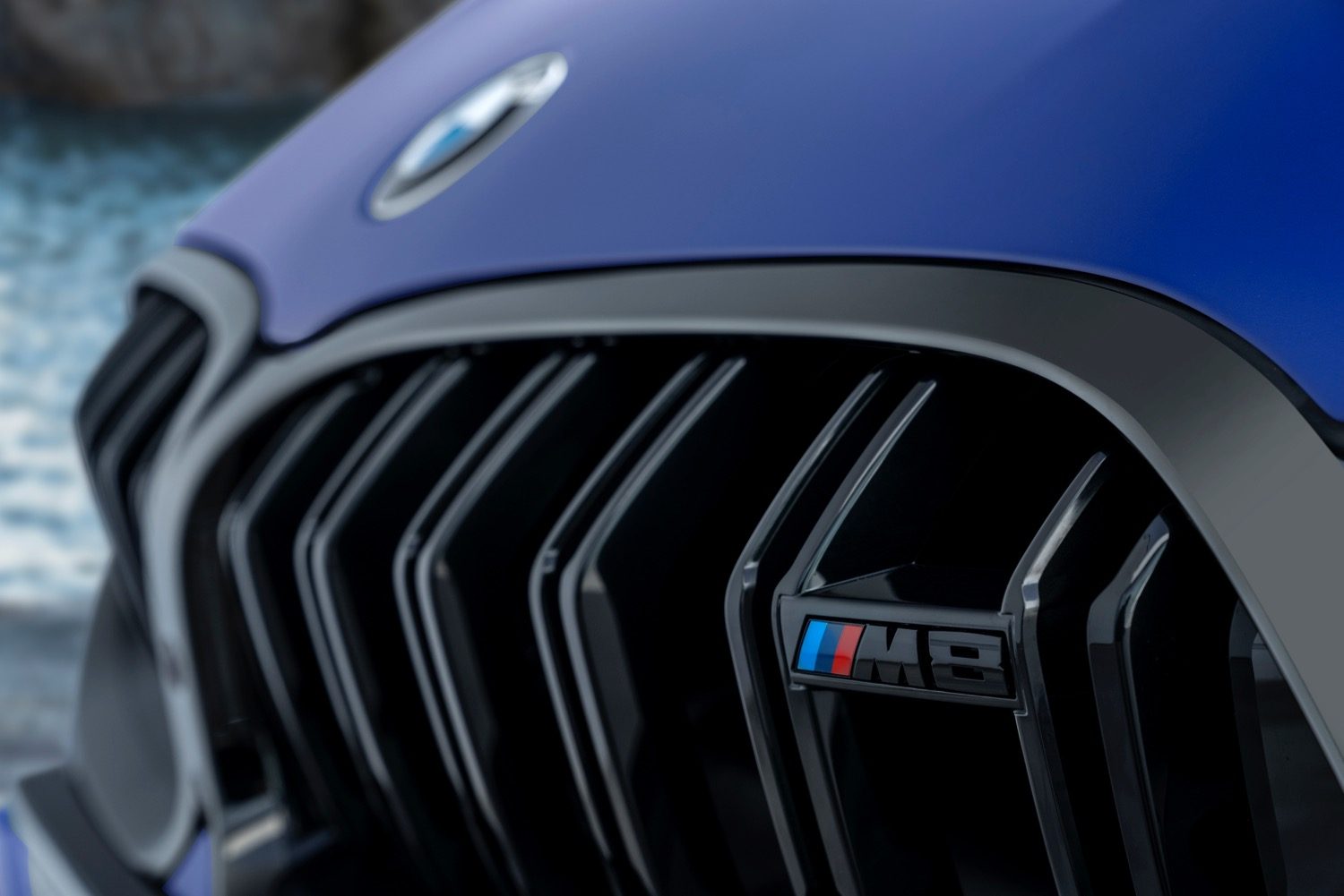 2020 BMW M8