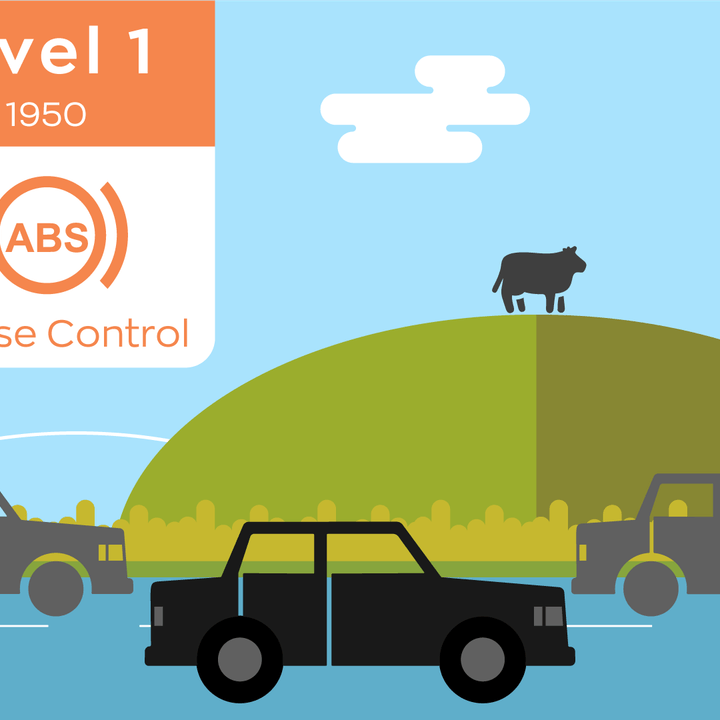 Autonomous car level one simple driving functions