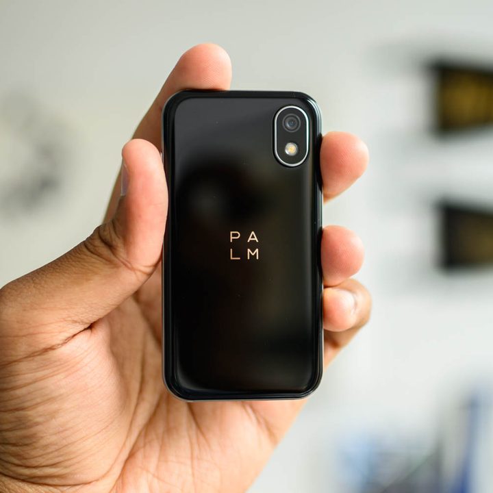 Standalone Palm