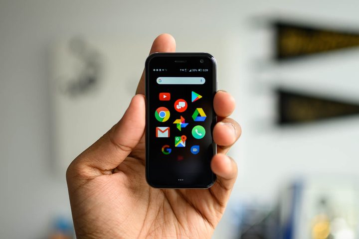 Standalone Palm