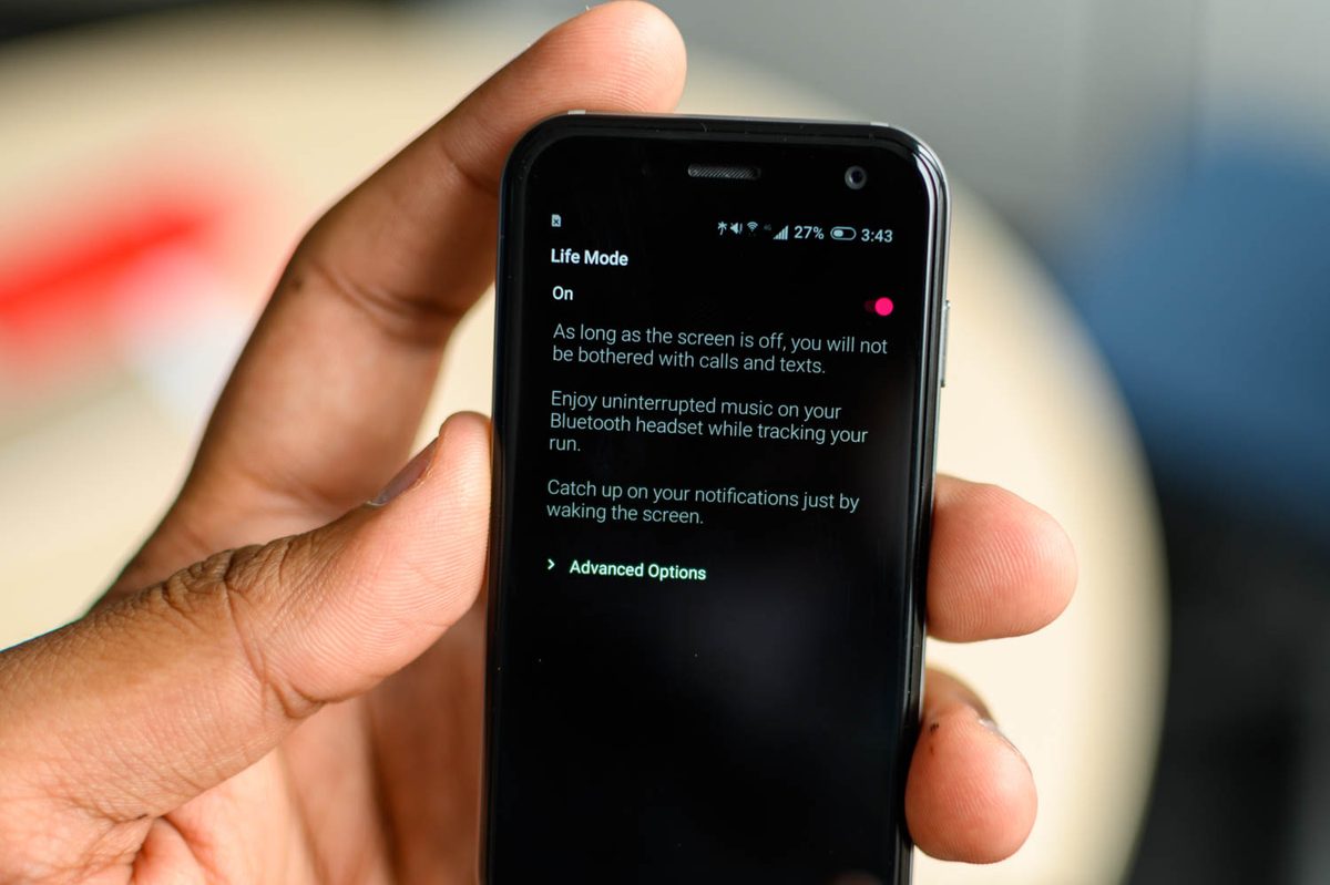 Standalone Palm
