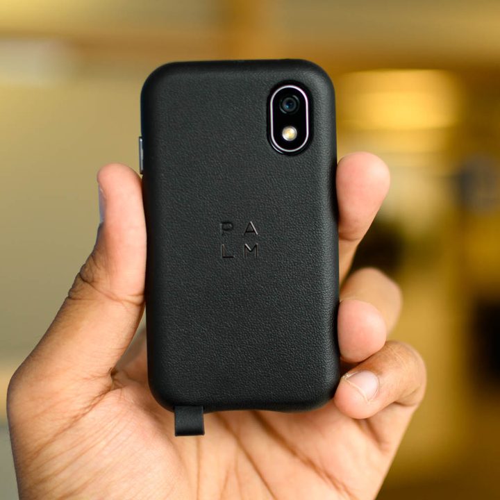 Standalone Palm