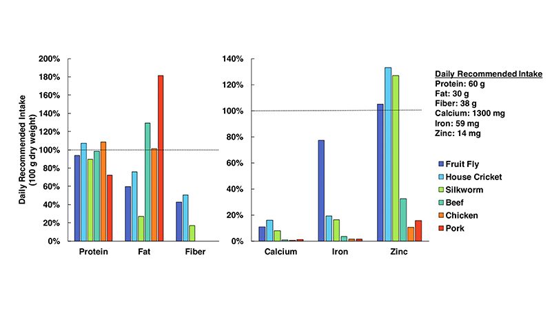 Lab Grown Insect Meat Daily Recommended Intake Graph