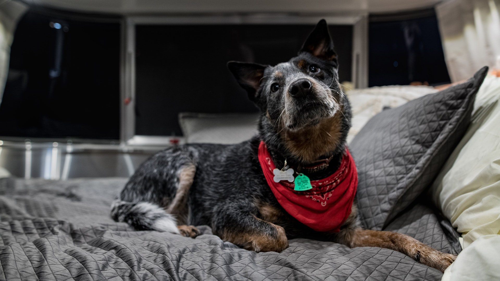 airstream 2020 bambi and caravel are more camping than glamping my20 gallery interior 5