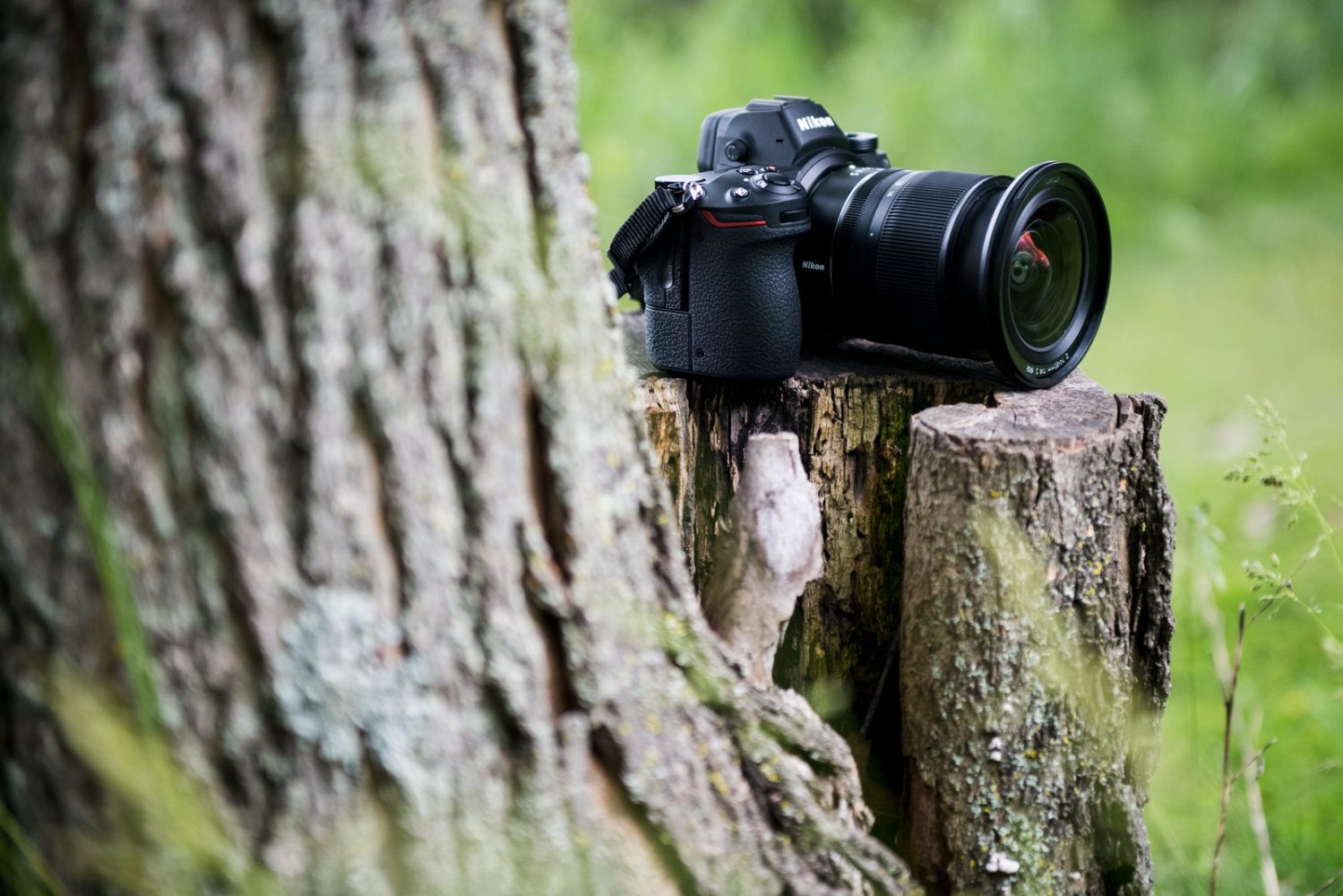 Nikon Z 14-30mm f/4 review - Digital Trends