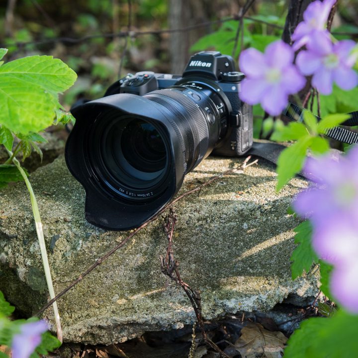 Nikkor-Z-24-70mm-f2.8-S-review-