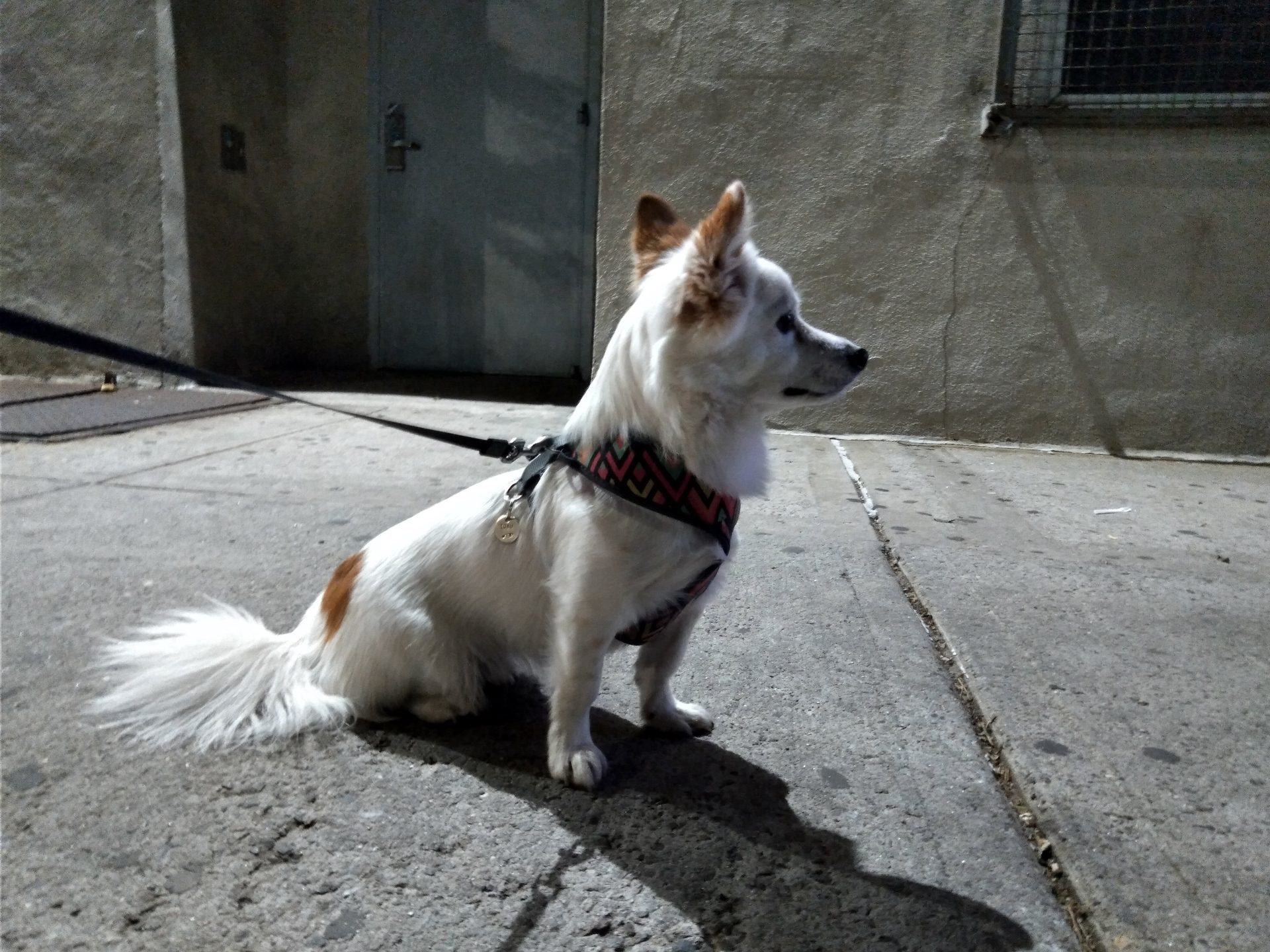 nokia 42 review 4 2 sample shots 38357