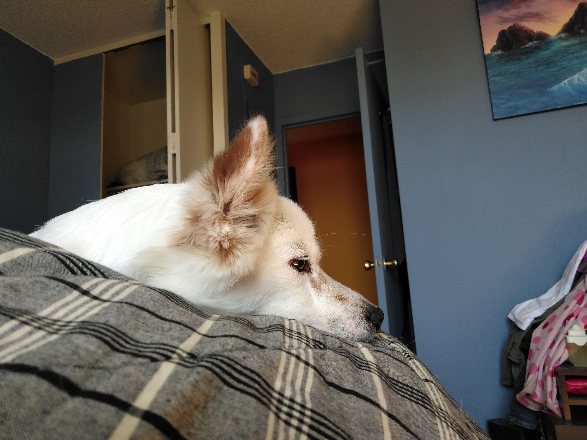nokia 42 review 4 2 sample shots 38364