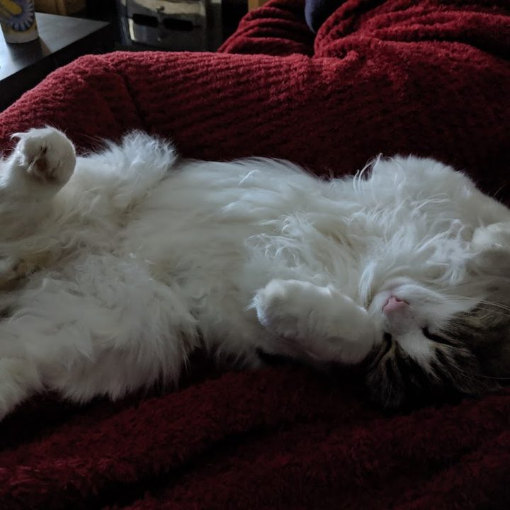 Pixel 3 Camera Samples