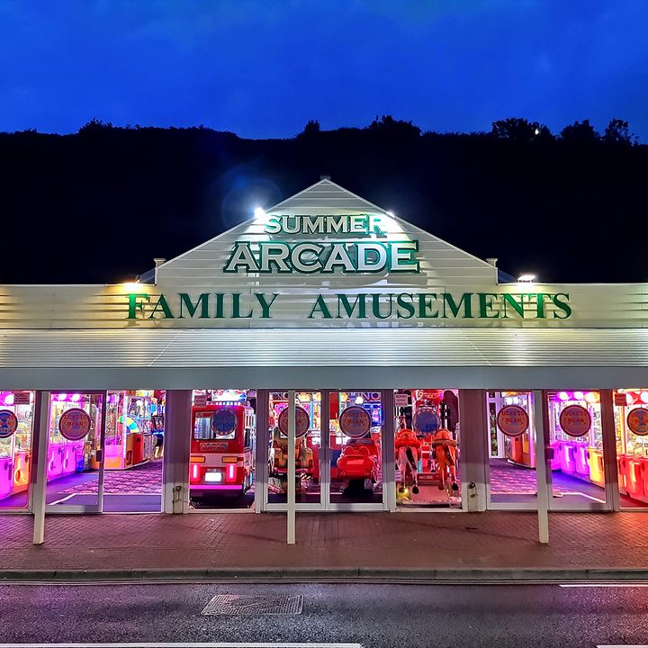 pixel 3a honor 20 xperia 10 plus motorola one vision camera shootout amusements