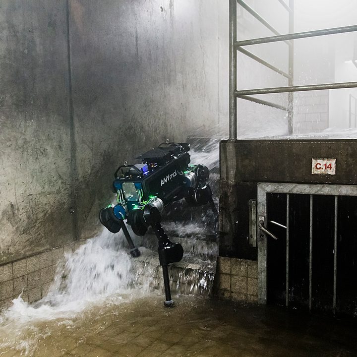 Anybotics ANYmal robotic dog