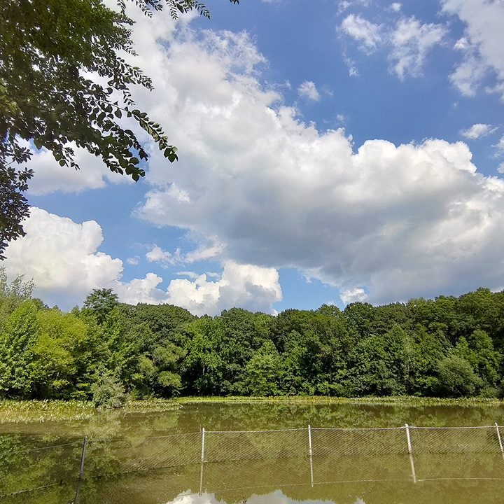 oneplus 7 pro pixel 3a zenfone 6 galaxy a50 midrange camera shootout asus daylight wide angle