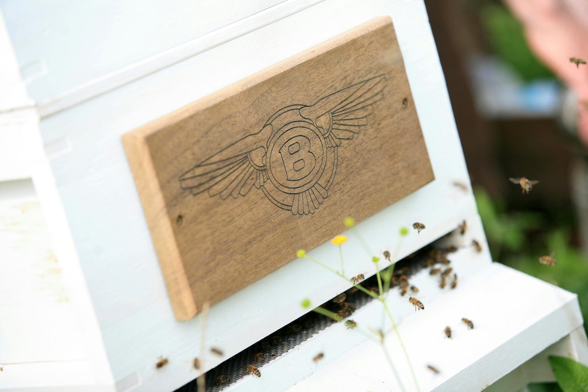 bentley motors creates a buzz as it enters the honey business bees 4