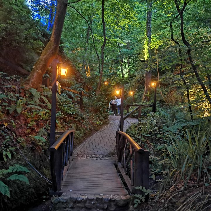 pixel 3a honor 20 xperia 10 plus motorola one vision camera shootout bridge