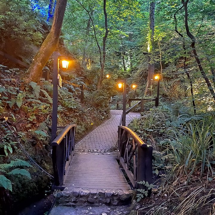 pixel 3a honor 20 xperia 10 plus motorola one vision camera shootout bridge