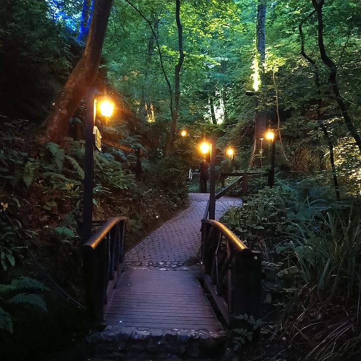 pixel 3a honor 20 xperia 10 plus motorola one vision camera shootout bridge