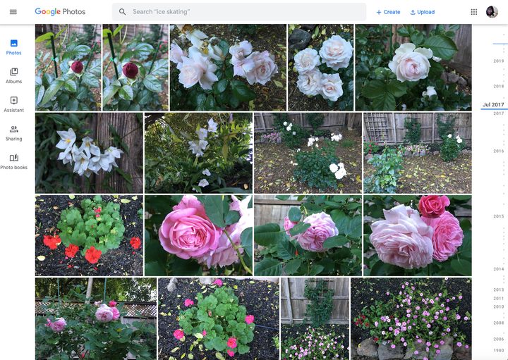 Google Photos desktop