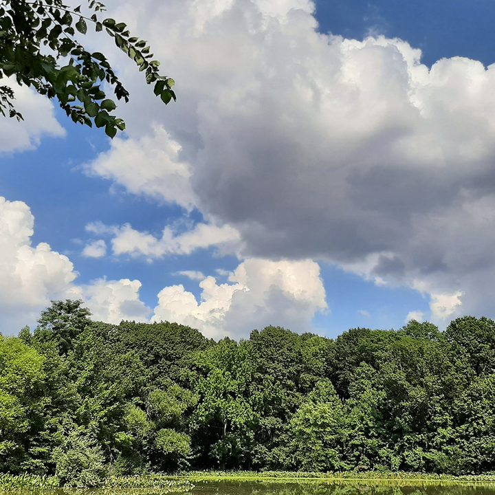 oneplus 7 pro pixel 3a zenfone 6 galaxy a50 midrange camera shootout daylight