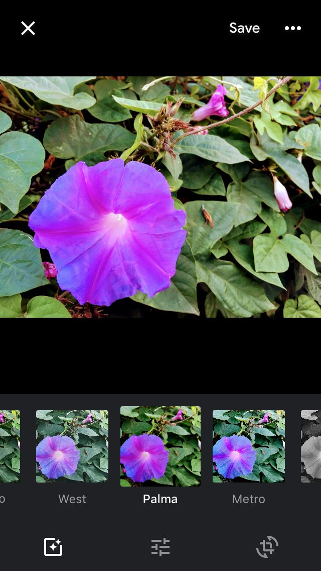 how to use google photos image edit2
