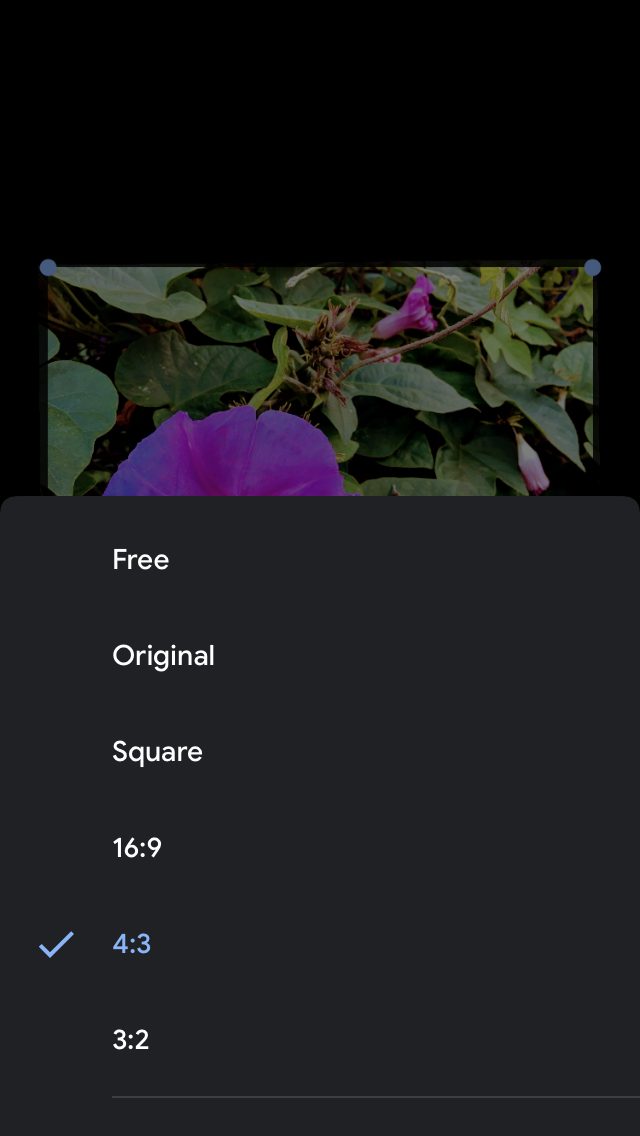 how to use google photos image edit4